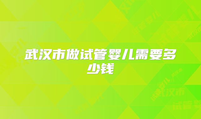 武汉市做试管婴儿需要多少钱
