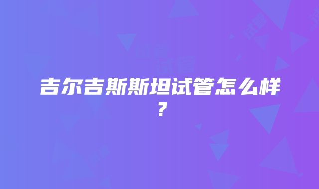 吉尔吉斯斯坦试管怎么样？