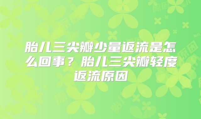 胎儿三尖瓣少量返流是怎么回事？胎儿三尖瓣轻度返流原因