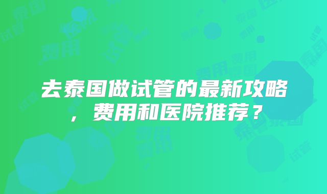 去泰国做试管的最新攻略，费用和医院推荐？
