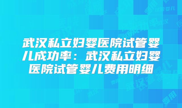 武汉私立妇婴医院试管婴儿成功率:武汉私立妇婴医院试管婴儿费用明细