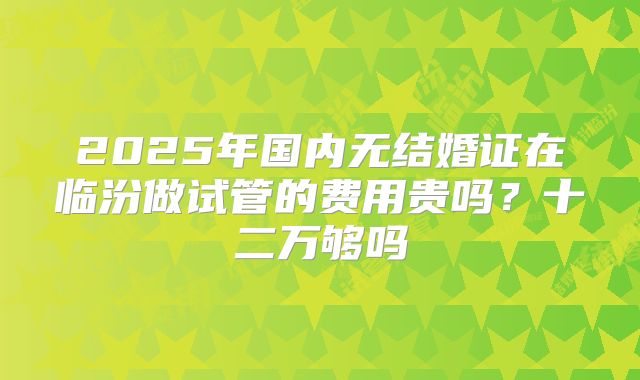 2025年国内无结婚证在临汾做试管的费用贵吗？十二万够吗