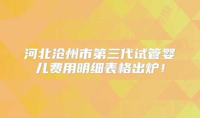 河北沧州市第三代试管婴儿费用明细表格出炉！
