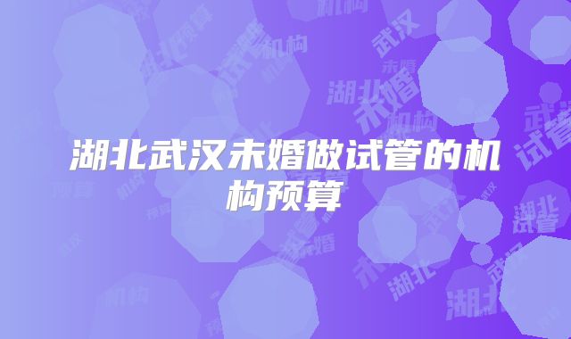 湖北武汉未婚做试管的机构预算
