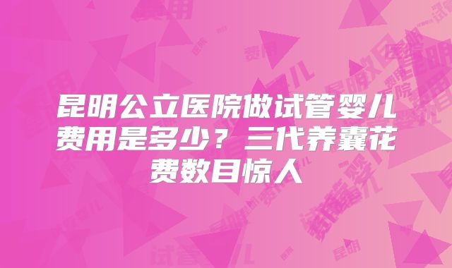昆明公立医院做试管婴儿费用是多少?三代养囊花费数目惊人