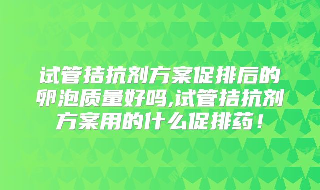 试管拮抗剂方案促排后的卵泡质量好吗,试管拮抗剂方案用的什么促排药!
