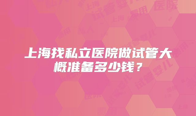 上海找私立医院做试管大概准备多少钱？