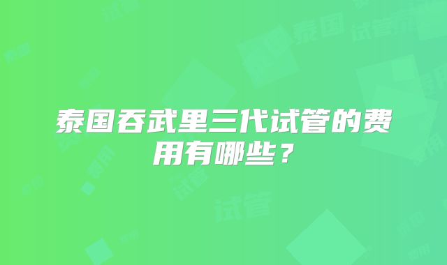 泰国吞武里三代试管的费用有哪些？