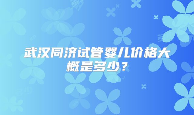 武汉同济试管婴儿价格大概是多少?