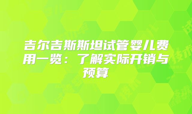 吉尔吉斯斯坦试管婴儿费用一览:了解实际开销与预算