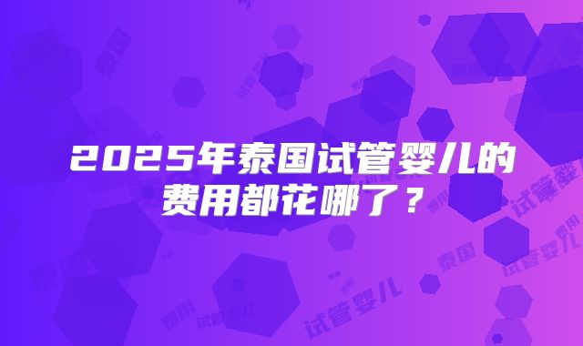 2025年泰国试管婴儿的费用都花哪了？