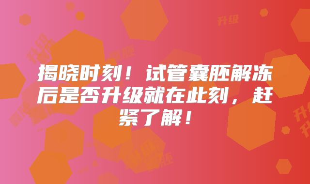 揭晓时刻！试管囊胚解冻后是否升级就在此刻，赶紧了解！