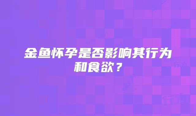 金鱼怀孕是否影响其行为和食欲？