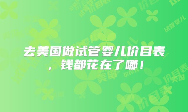 去美国做试管婴儿价目表,钱都花在了哪!