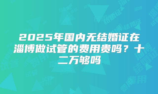 2025年国内无结婚证在淄博做试管的费用贵吗？十二万够吗