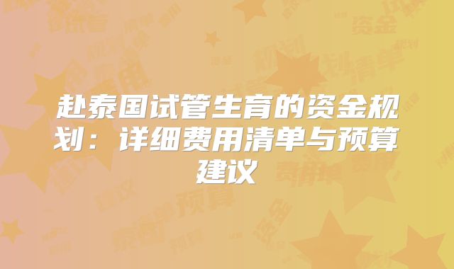 赴泰国试管生育的资金规划:详细费用清单与预算建议
