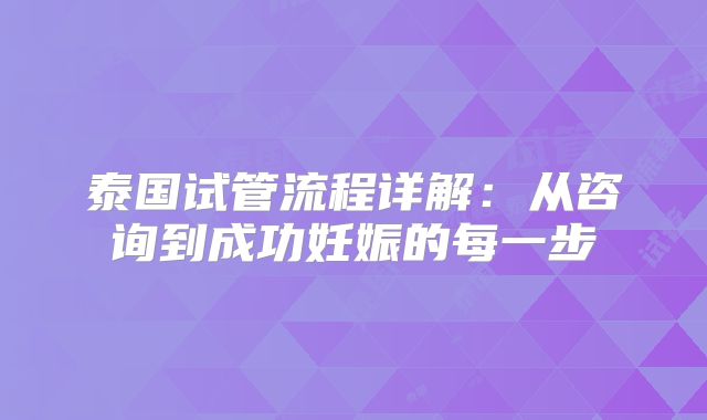 泰国试管流程详解:从咨询到成功妊娠的每一步
