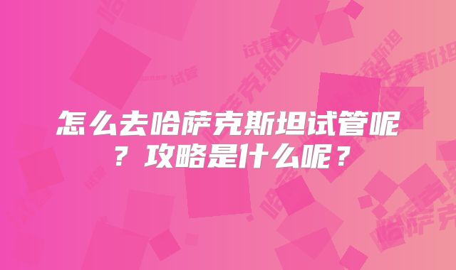 怎么去哈萨克斯坦试管呢？攻略是什么呢？