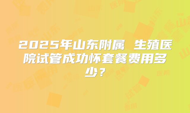 2025年山东附属 生殖医院试管成功怀套餐费用多少？