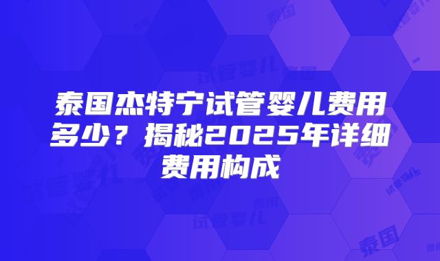 泰国杰特宁试管婴儿费用多少？揭秘2025年详细费用构成