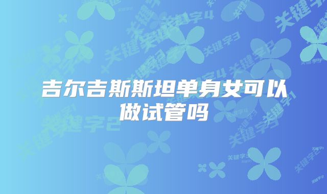 吉尔吉斯斯坦单身女可以做试管吗