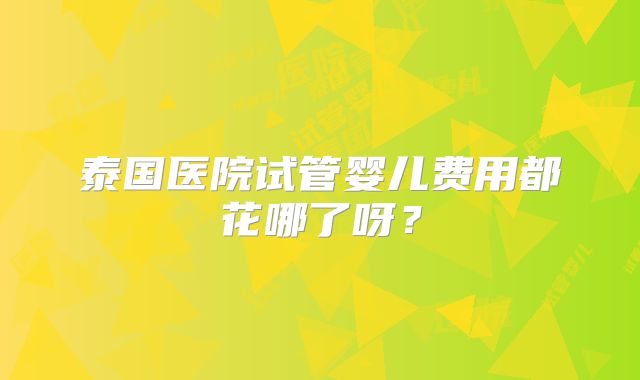 泰国医院试管婴儿费用都花哪了呀？