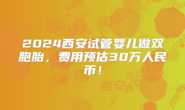 2024西安试管婴儿做双胞胎，费用预估30万人民币！