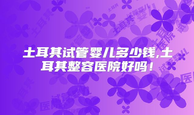 土耳其试管婴儿多少钱,土耳其整容医院好吗！