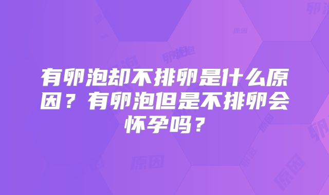 有卵泡却不排卵是什么原因？有卵泡但是不排卵会怀孕吗？