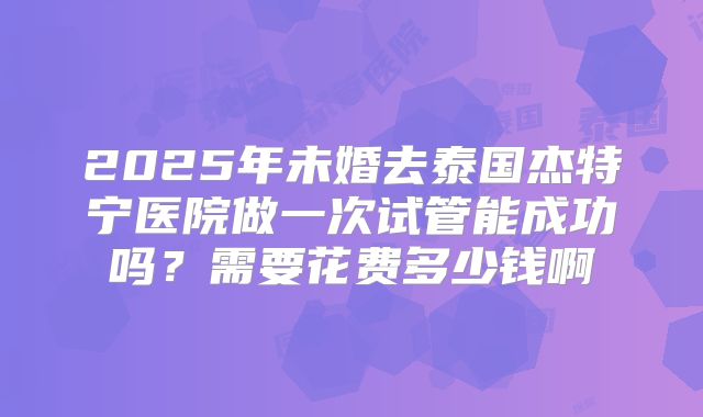 2025年未婚去泰国杰特宁医院做一次试管能成功吗？需要花费多少钱啊