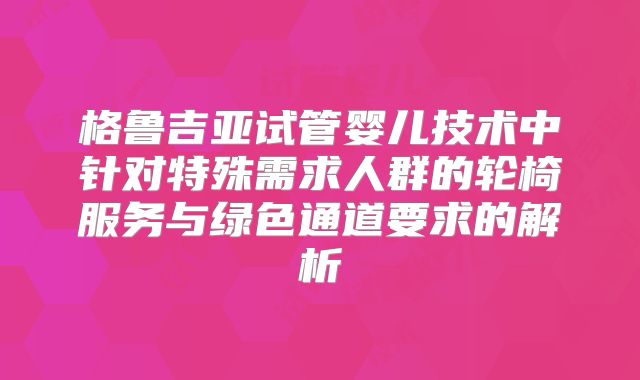 格鲁吉亚试管婴儿技术中针对特殊需求人群的轮椅服务与绿色通道要求的解析