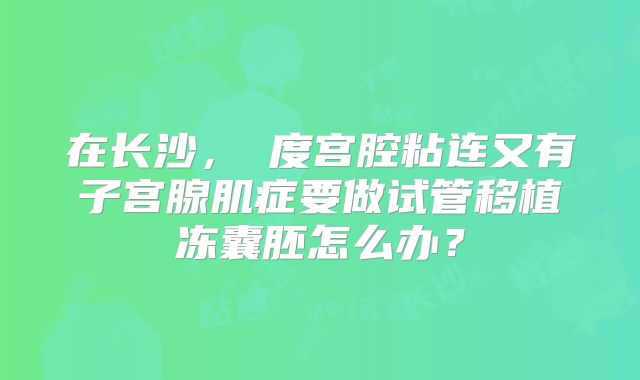 在长沙，Ⅱ度宫腔粘连又有子宫腺肌症要做试管移植冻囊胚怎么办？