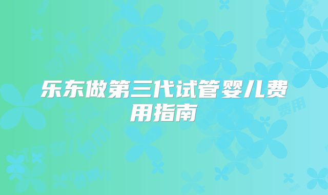 乐东做第三代试管婴儿费用指南