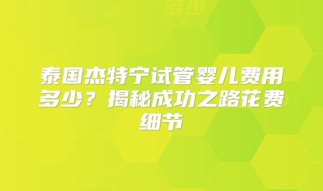 泰国杰特宁试管婴儿费用多少？揭秘成功之路花费细节