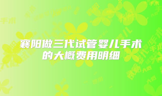 襄阳做三代试管婴儿手术的大概费用明细