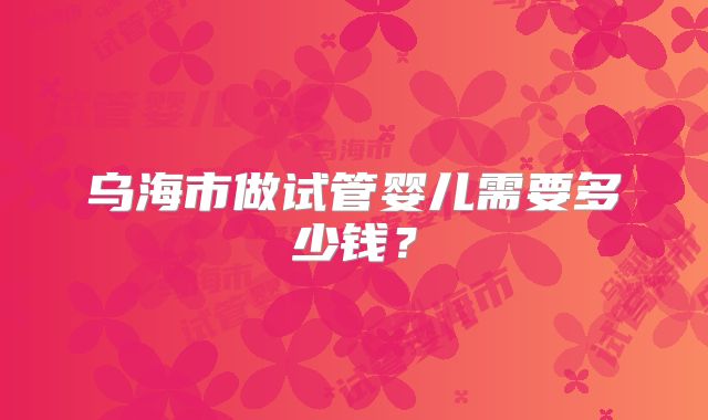 乌海市做试管婴儿需要多少钱？