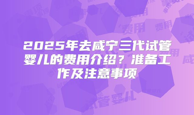 2025年去咸宁三代试管婴儿的费用介绍？准备工作及注意事项