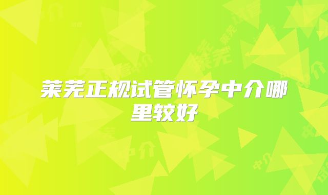 莱芜正规试管怀孕中介哪里较好