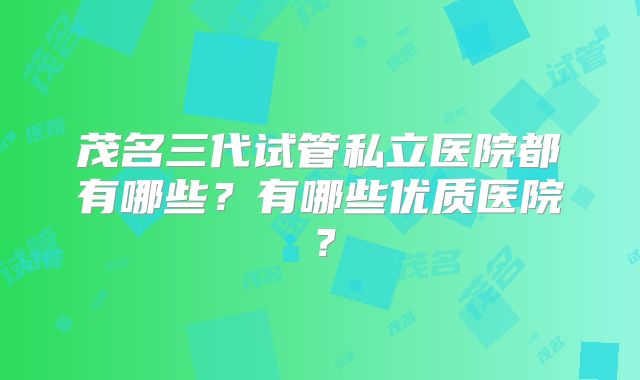 茂名三代试管私立医院都有哪些?有哪些优质医院?