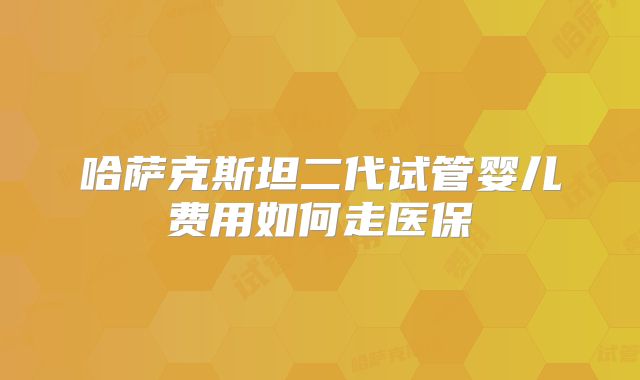 哈萨克斯坦二代试管婴儿费用如何走医保