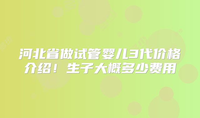 河北省做试管婴儿3代价格介绍!生子大概多少费用