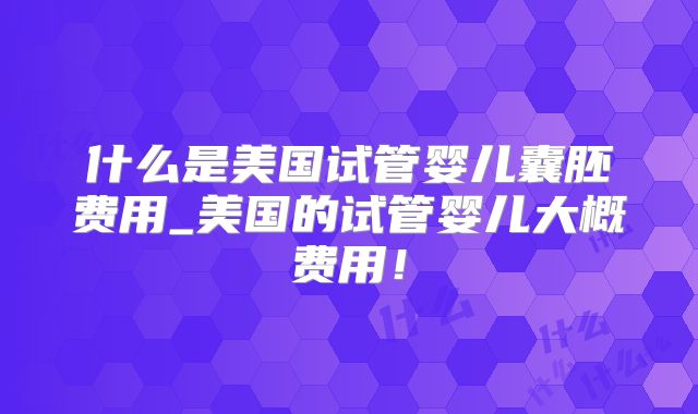 什么是美国试管婴儿囊胚费用_美国的试管婴儿大概费用！