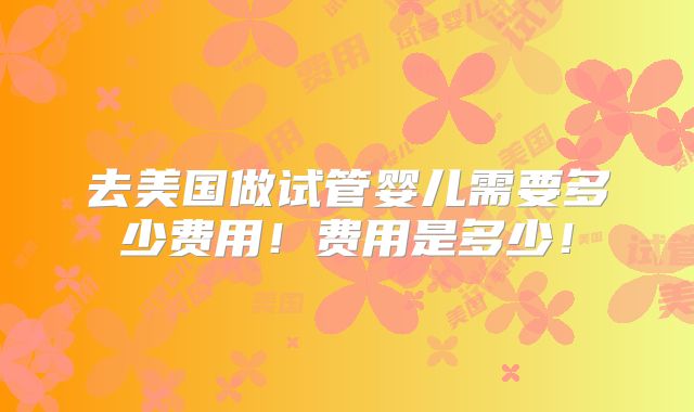 去美国做试管婴儿需要多少费用！费用是多少！