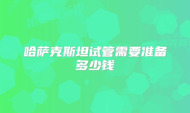 哈萨克斯坦试管需要准备多少钱