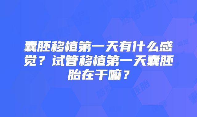 囊胚移植第一天有什么感觉？试管移植第一天囊胚胎在干嘛？
