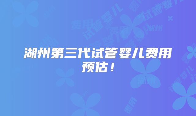 湖州第三代试管婴儿费用预估！