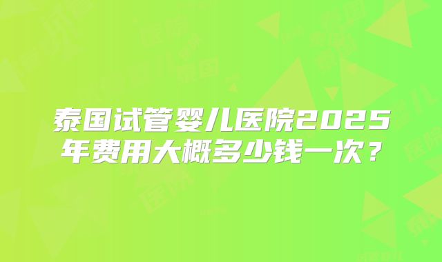 泰国试管婴儿医院2025年费用大概多少钱一次？