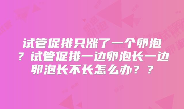 试管促排只涨了一个卵泡？试管促排一边卵泡长一边卵泡长不长怎么办？？