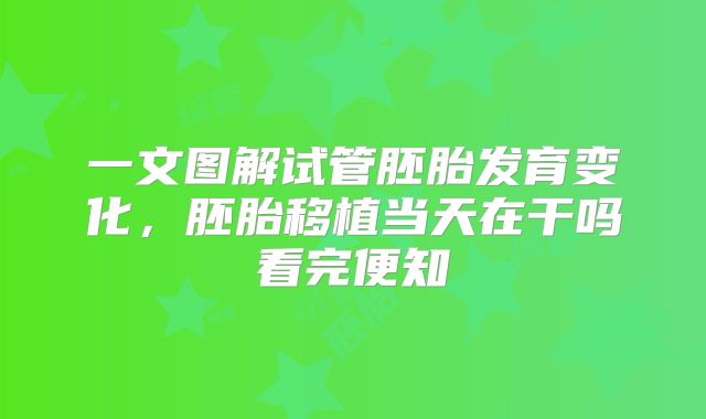 一文图解试管胚胎发育变化,胚胎移植当天在干吗看完便知