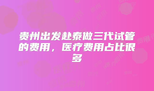 贵州出发赴泰做三代试管的费用,医疗费用占比很多